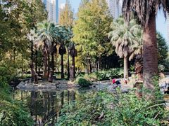 -苏州河梦清园环保主题公园