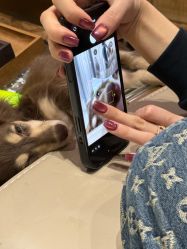 -LISSOM莉森 Nail ·美甲美睫原创定制店