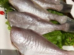 -锦城印象火锅(天府三街店)