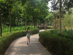 -大湾区中央湿地公园