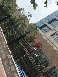 -厦门市儿童医院