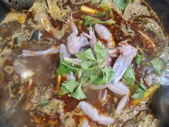 -大江美蛙鱼火锅(都江堰店)