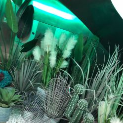 一楼-LESSMORE科技头皮理容中心