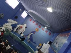 -左海海底世界