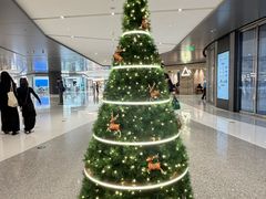 -深圳湾万象城(南山店)