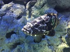 -福州罗源湾海洋世界旅游区