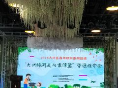 -西瓜小镇
