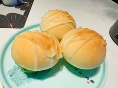 -新兴·金羊座·粤菜点心(乐峰店)