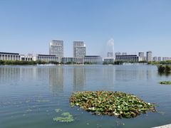 -尚贤河湿地