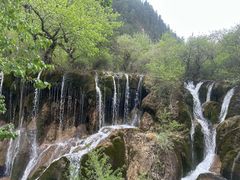 -九寨沟-树正沟