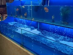 -芭菲盛宴·环球美食(北城国际店)