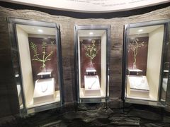 -辽宁古生物博物馆