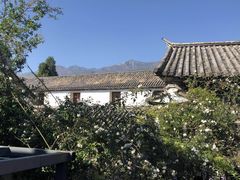 -喵屿·大理花园猫咖