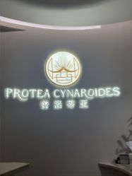 -普洛蒂亚·科技美肤中心