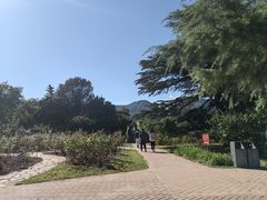 -国家植物园南园