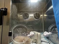 -达爱动物医院·犬猫分区·CT·复杂眼科(远洋山水分院)