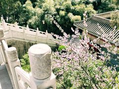 -白塔山公园