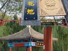 -莲花池公园