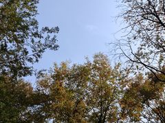 -南京市江宁方山