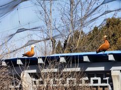 -森林公园(尖草坪区)