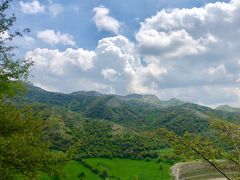 -中华福寿山