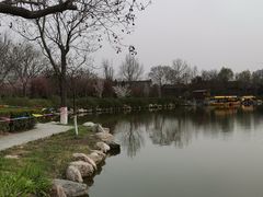 -大槐树寻根祭祖园