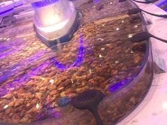 -澜悦港海鲜体验主题餐厅