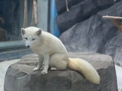 -海合安青岛极地海洋公园