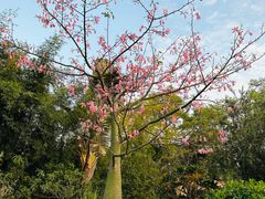 -广州莲花山旅游区