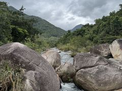 -海南热带雨林国家公园吊罗山景区