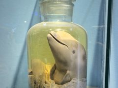 -泉城欧乐堡海洋极地世界