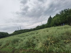 -八卦田遗址公园