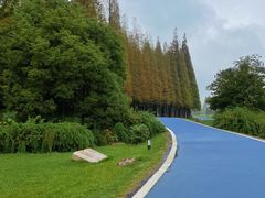 -宜兴龙背山森林公园
