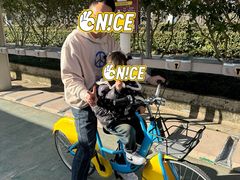 -合肥滨湖国家森林公园