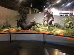 -北京周口店北京人遗址博物馆