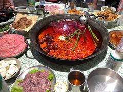 -五里关火锅(牛市口店)