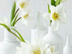 -泉州富力万达文华酒店-品珍中餐厅