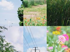 -艾溪湖湿地公园