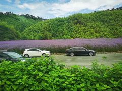-千岛湖石林