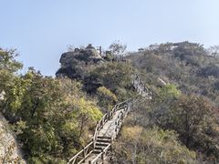 -大岭沟猕猴桃谷风景区