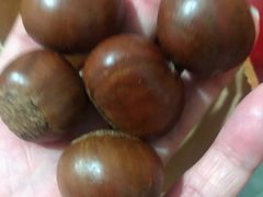 -小叶佳栗子(昌平店)