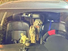 -19号私房菜(云南路店)