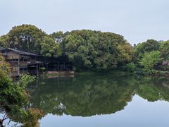 -张鸟园农家乐(张鸟园店)