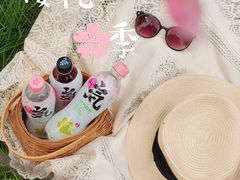 -文华公园(禅城区)