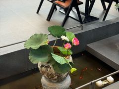 -单家老院·院子里的青岛菜(沙子口店)