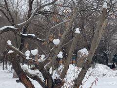 -黑龙江中医药大学