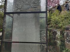 -香雪海