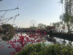 -无锡蠡湖国家湿地公园-蠡园