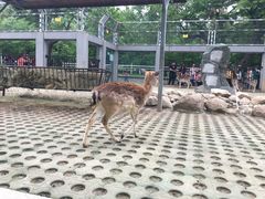 -西安秦岭野生动物园