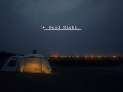 -春花秋色城市公园